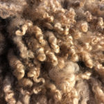 A natural color fleece