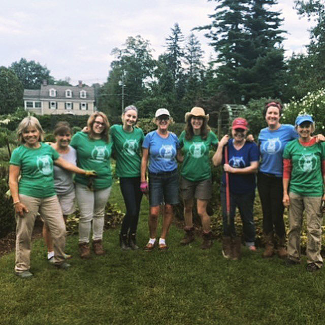 Volunteer at Henny Penny Farm