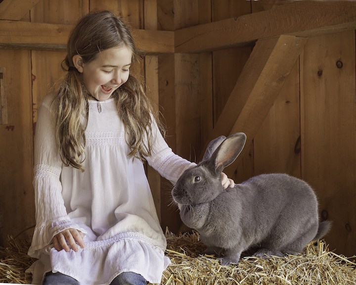 Henny Penny Photo Shoot